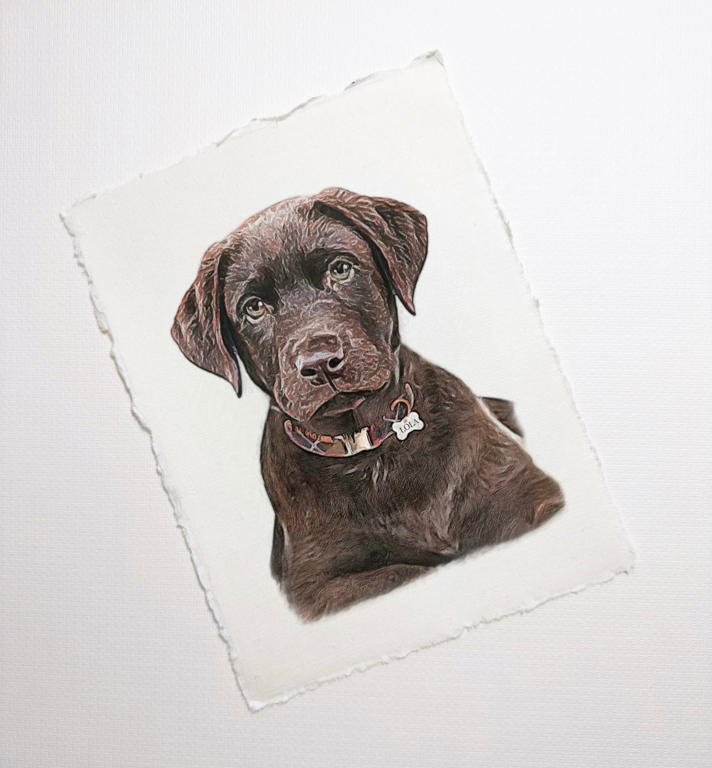 Custom Pet Portrait