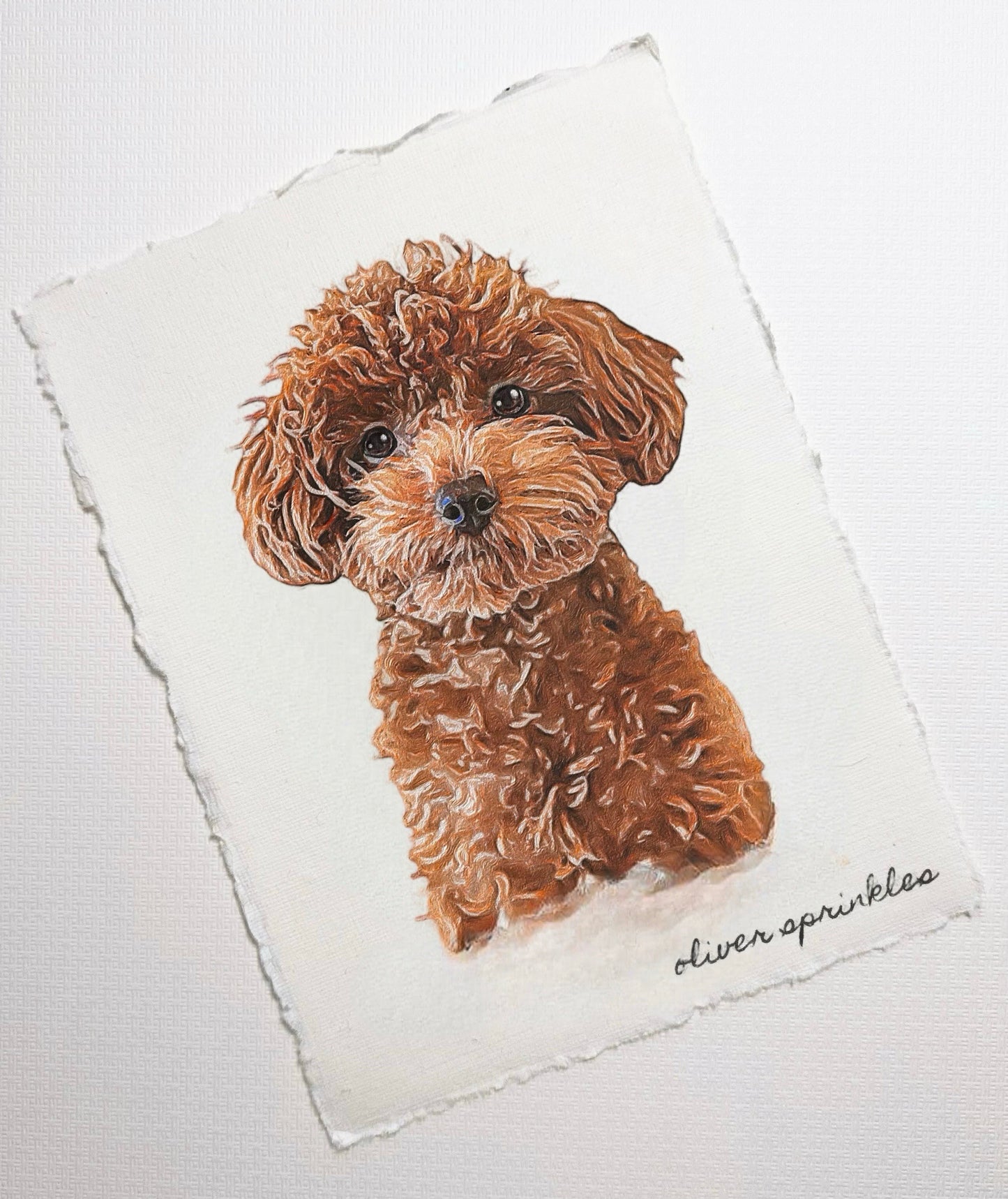 Custom Pet Portrait