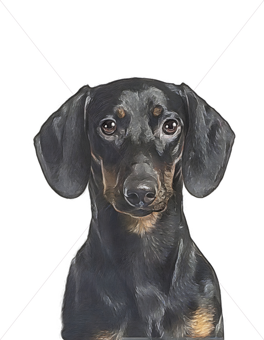 dachshund