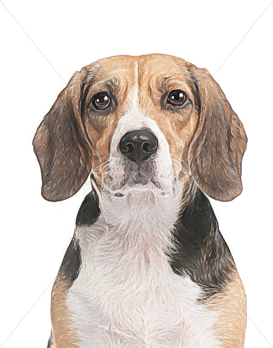 beagle