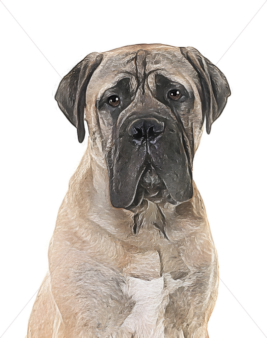 mastiff