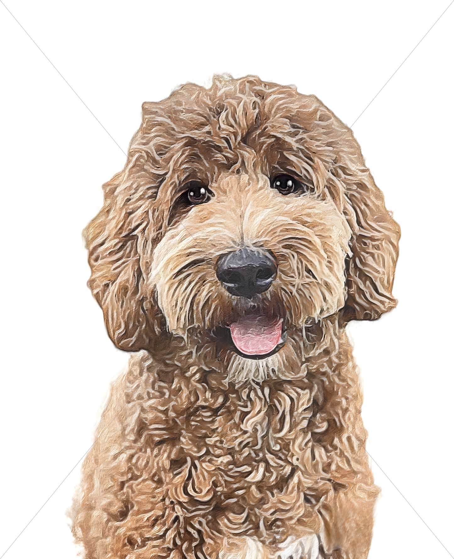 goldendoodle 2