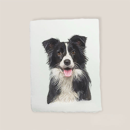 border collie print