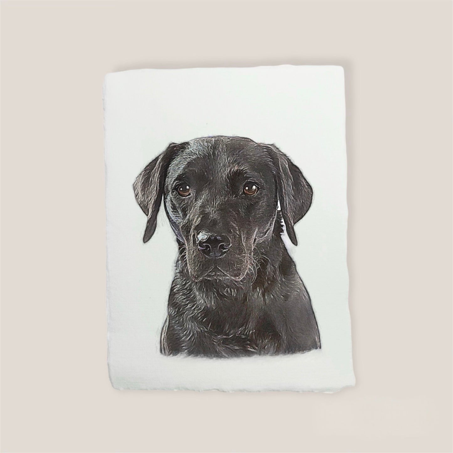 black labrador print