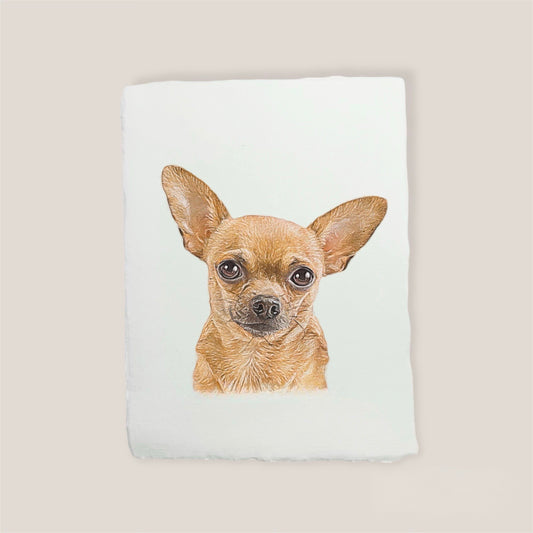 chihuahua print