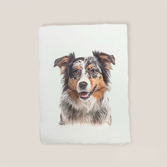 australian shepherd print