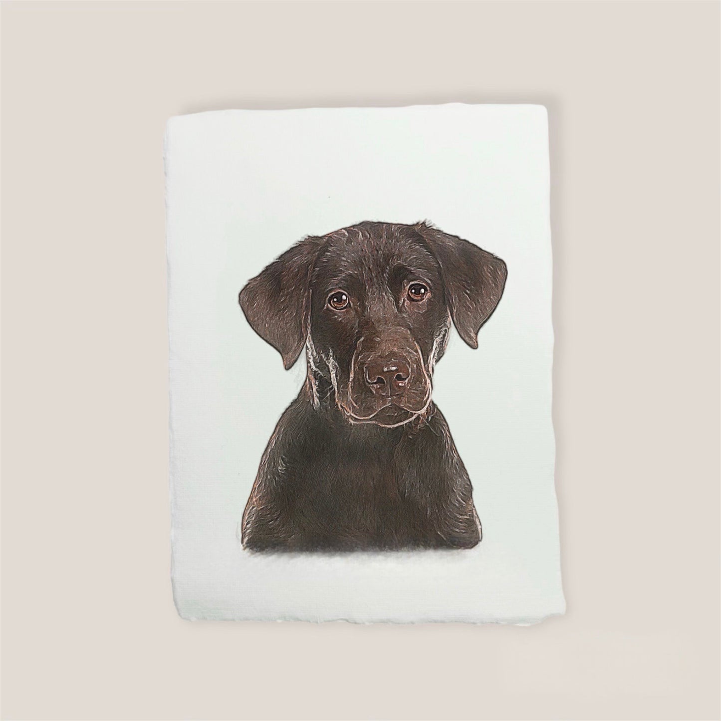 brown chocolate lab print