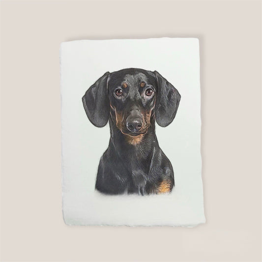 dachshund print