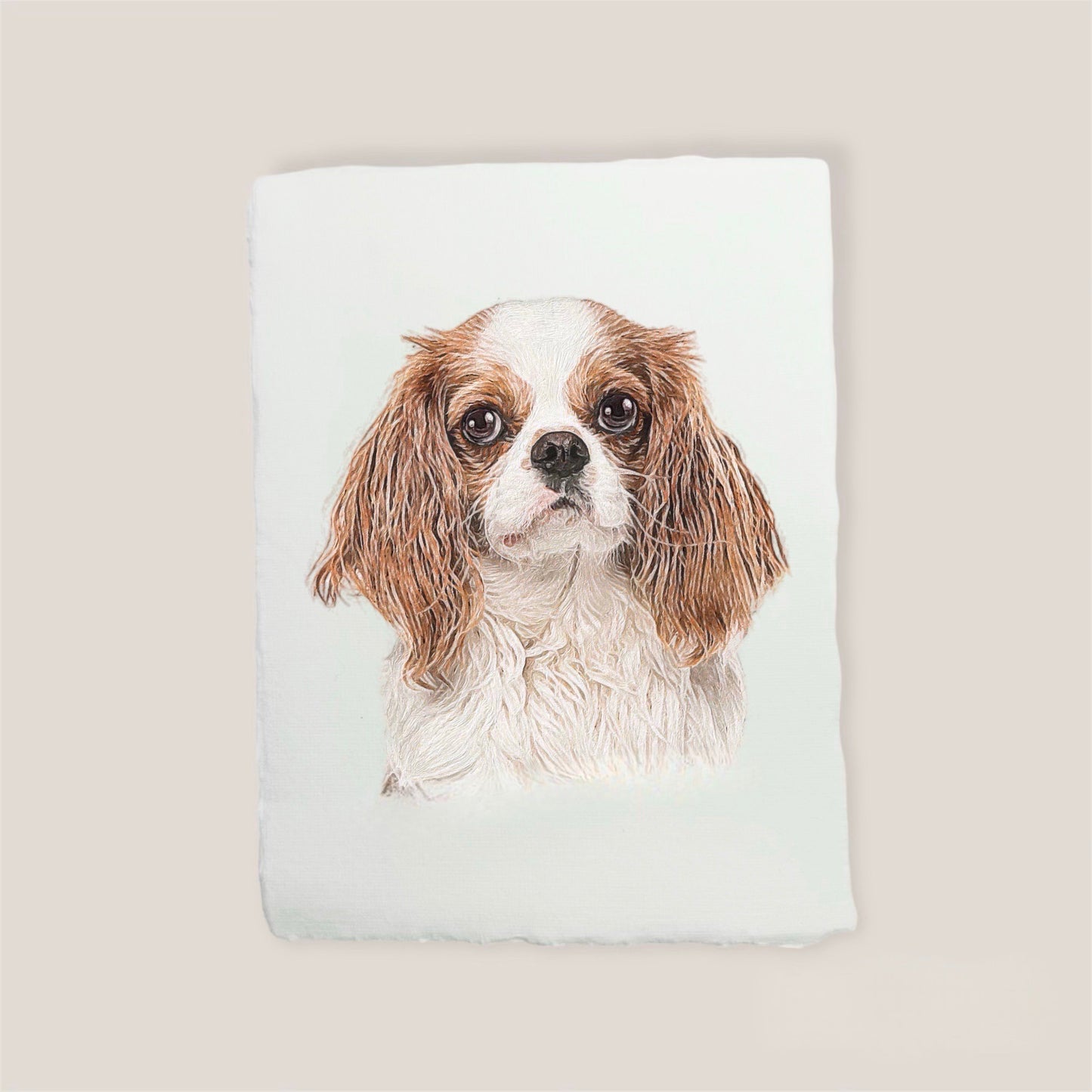 cavalier king charles spaniel print