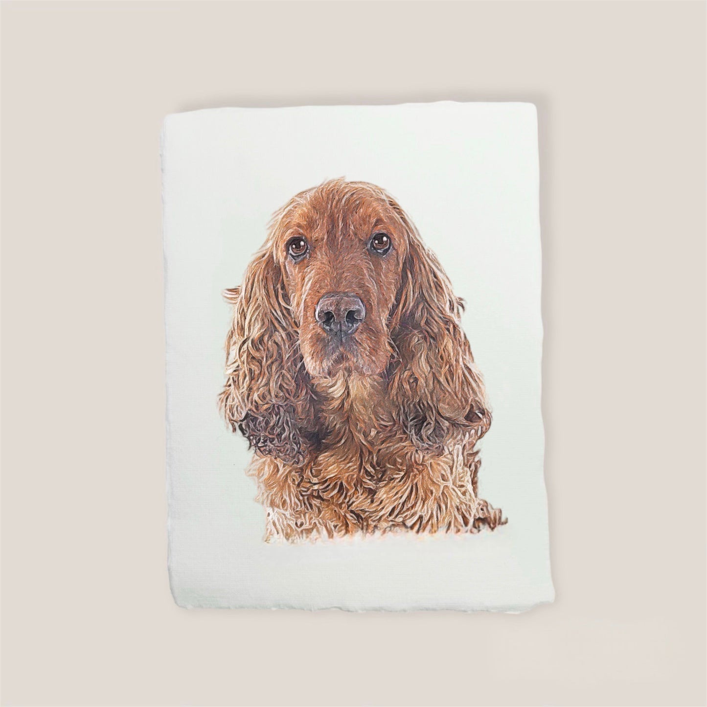 english cocker spaniel print