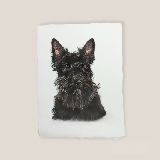 scottish terrier print