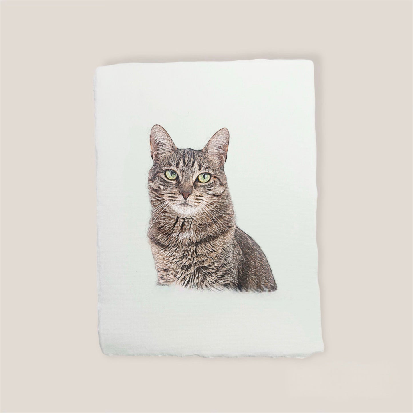 tabby cat print