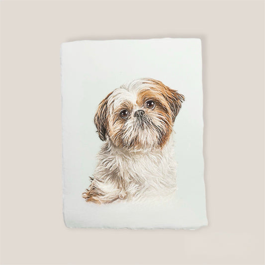 shih tzu print