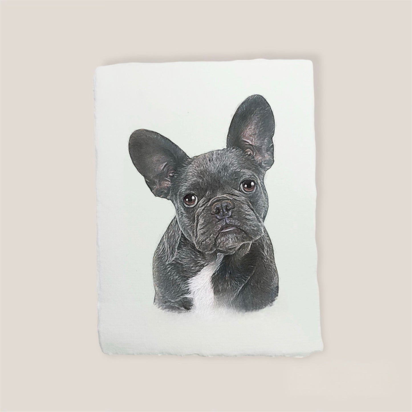 grey french bulldog print