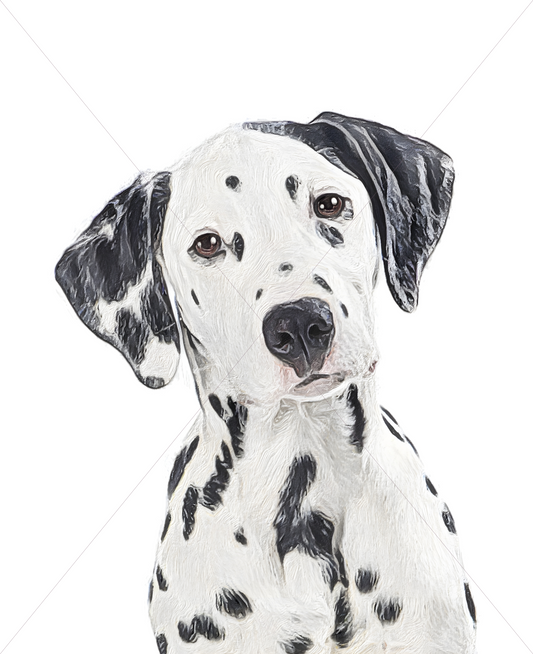 dalmatian