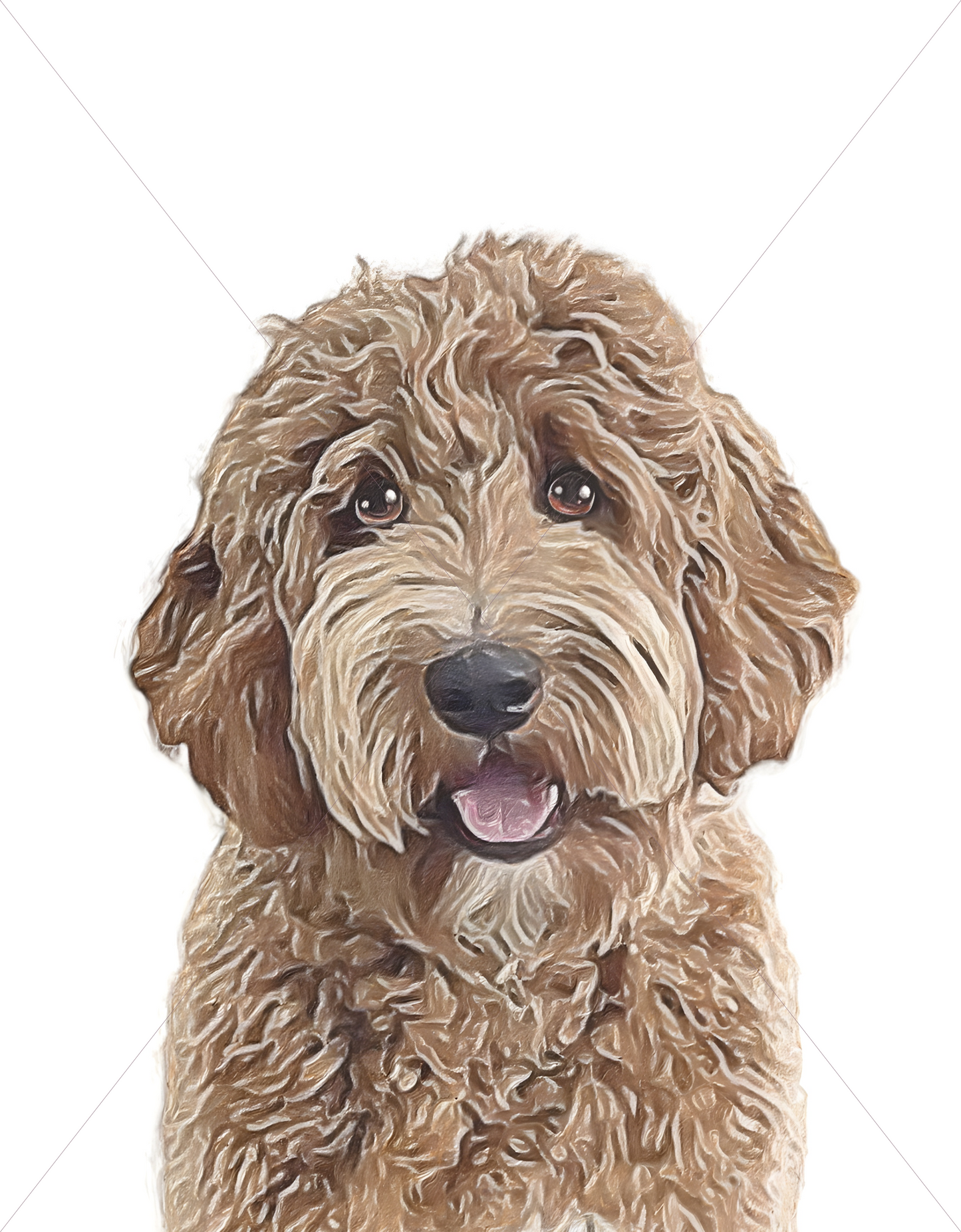 goldendoodle