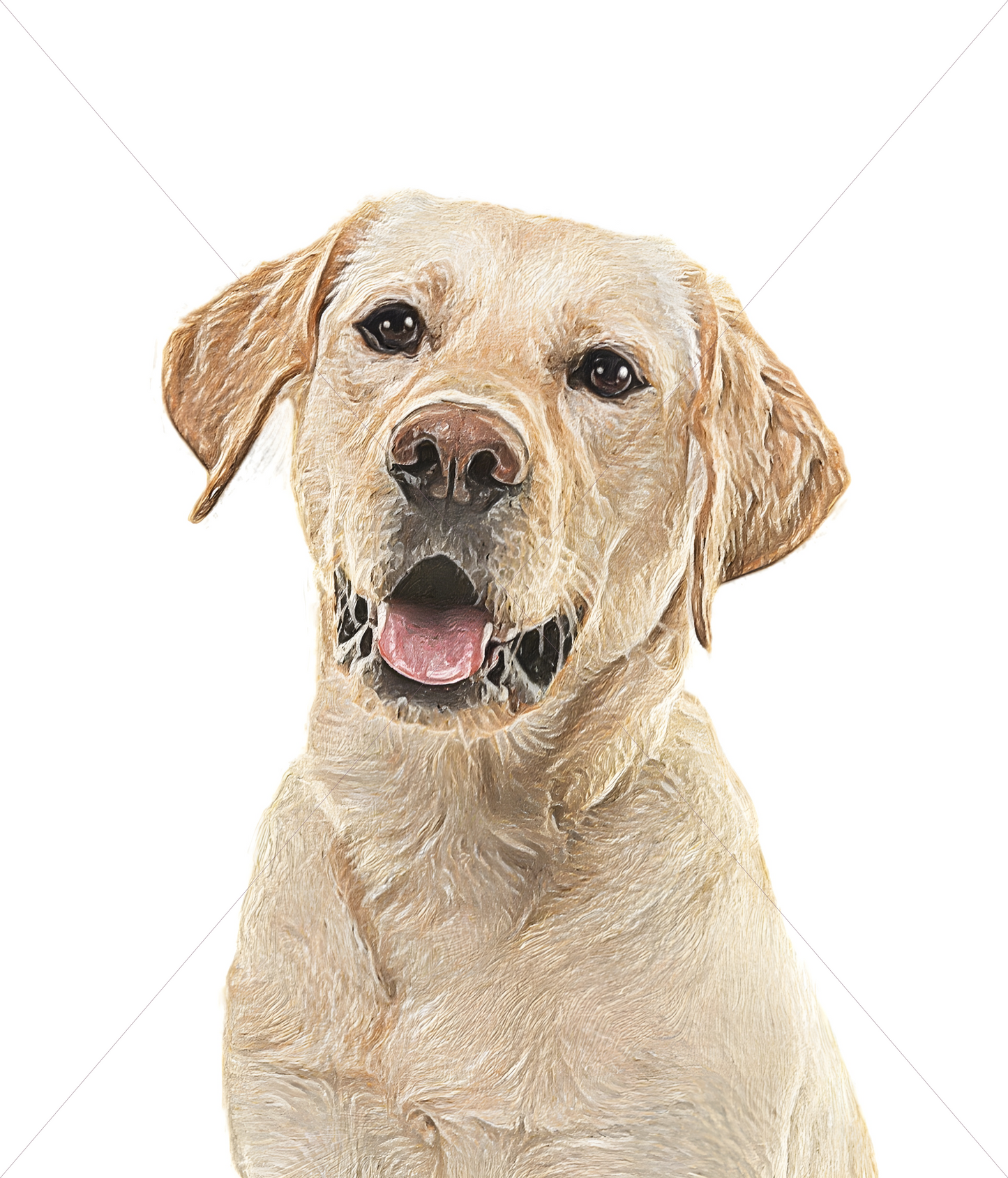 yellow lab